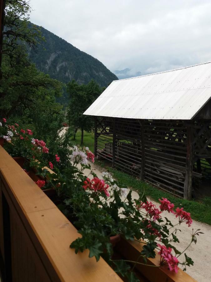 Apartma Momo Бохинь Экстерьер фото
