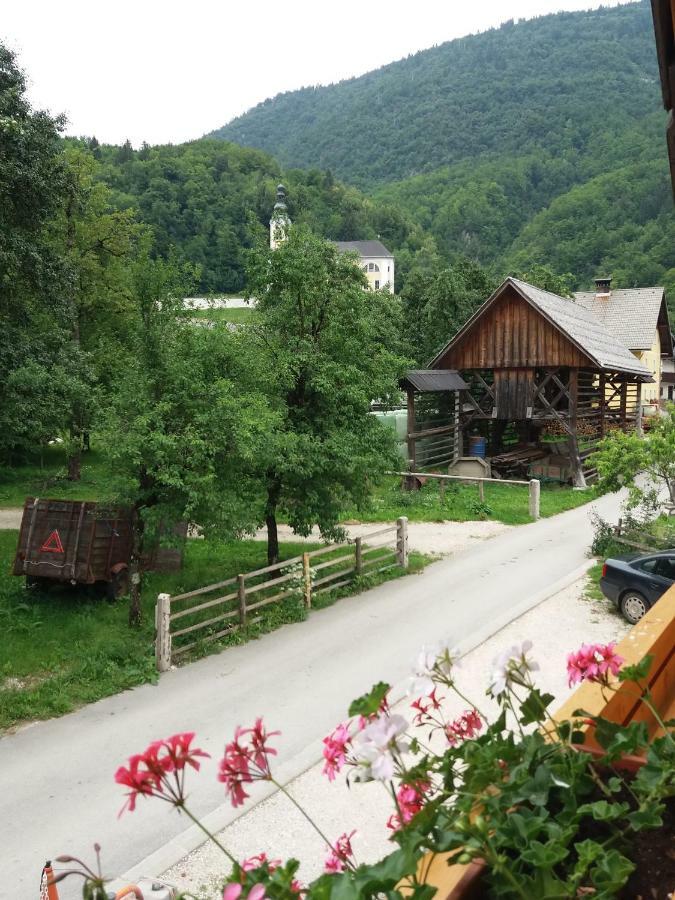 Apartma Momo Бохинь Экстерьер фото